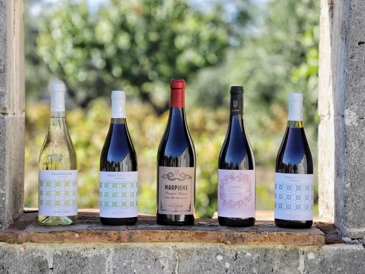 Viglione Wine Resort 圣埃拉莫因科莱 外观 照片
